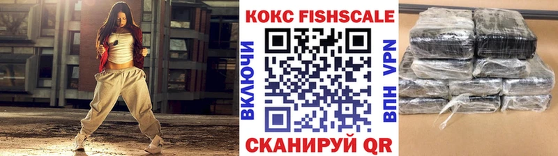 Cocaine Fish Scale  купить закладку  Пласт 