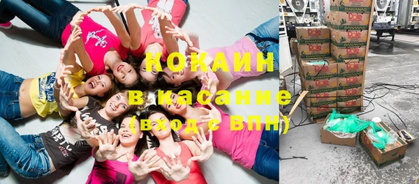 прущие грибы Алзамай