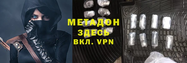 прущие грибы Алзамай