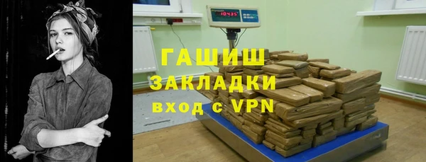 прущие грибы Алзамай