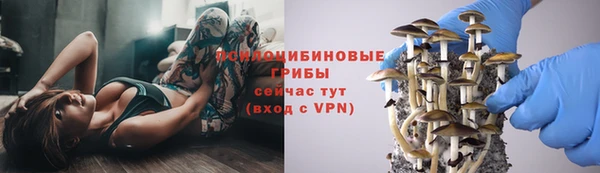 спайс Алексин
