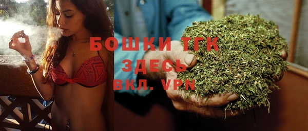 прущие грибы Алзамай