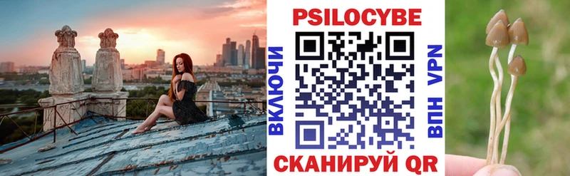 дарнет шоп  Пласт  Псилоцибиновые грибы Psilocybine cubensis 